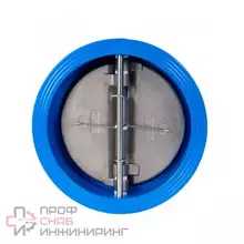 Клапан обратный чугунный двухстворчатый межфланцевый Ду100 Ру16 Tecofi