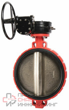 Затвор дисковый поворотный Rushwork 201-450-16, DN450, PN16, GG25 / AISI304 / EPDM, М/Ф, редуктор, квадрат 27х27