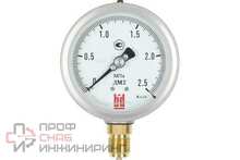 Манометр BD ДМ 2 100 Р (0-2,5) МПа, кл.1,0, М20х1,5