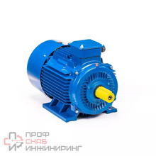 Электродвигатель 5АИН 280 MC4, 200 кВт, 1500 оборотов/мин, IM 1001