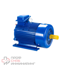 Электродвигатель 5MTKH 200 LA6, 22 кВт, 1000 оборотов/мин, IM 1003