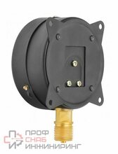 Манометр Росма ТМ 610Р (0-6,0атм) М20*1,5