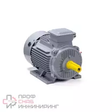 Электродвигатель ESQ PR 180 M8 GST-Б1-S12-IE2 IM 1001 15/750