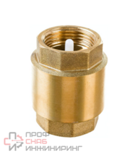 Клапан обратный 2" пружинный с пластиковым затвором, YORK Itap