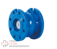 Грибковый фланцевый обратный клапан подпружиненный Water Technics CVF WT DN100