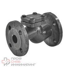 Клапан обратный чугунный 16кч9нж Ду80 Ру25 RMCX