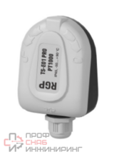 Датчик температуры RGP от -50 до +100 C, PT 1000, наружного воздуха