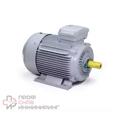 Электродвигатель ESQ PR 315 LA6-SDN-Б1-S32-IE2 IM B3 110/1000