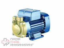 Насос Pedrollo PVm 55