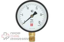 Манометр BD ДМ 1 Т2 100 Р (0-25) бар, кл.1,5, G1/2