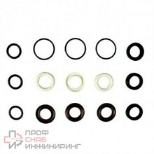 Комплект уплотнений для электродвигателя Franklin Electric REW 6" (Viton)  4-37 кВт, 308800424