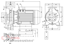 Насос Ebara 3D E/I 50-200/15 IE3