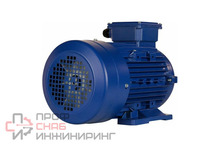 Электродвигатель 5АИ 100 L6, 2.2 кВт, 1000 оборотов/мин, IM 1081