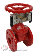 Задвижка Benarmo чуг аналог МЗВ Ду65 Ру10/16 с конц выкл 30ч39р 24FG