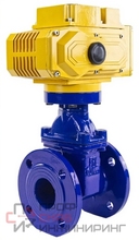 Задвижка клиновая 30ч939р DN.ru GVWN1414E-2W-F Ду300 Ру10 фланцевая, с обрезиненным клином, с невыдвижным шпинделем, корпус - чугун GGG-50, уплотнение - EPDM, цвет - синий, шток 25, с электроприводом DN.ru MT-N-030EM-O1-380VAC-У1 380В