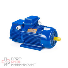 Электродвигатель 5MTH 280 L10, 75 кВт, 600 оборотов/мин, IM 1003