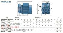 Насос Pedrollo PQm 300