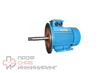 Электродвигатель 5АИ 180 M2Ж, 30 кВт, 3000 оборотов/мин, IM 2009