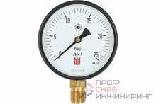 Манометр BD ДМ 1 Т2 100 Р (0-25) бар, кл.1,5, G1/2