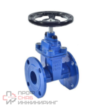 Задвижка Benarmo 30ч39р Ду 50 с обрезиненным клином Ру16 н/н